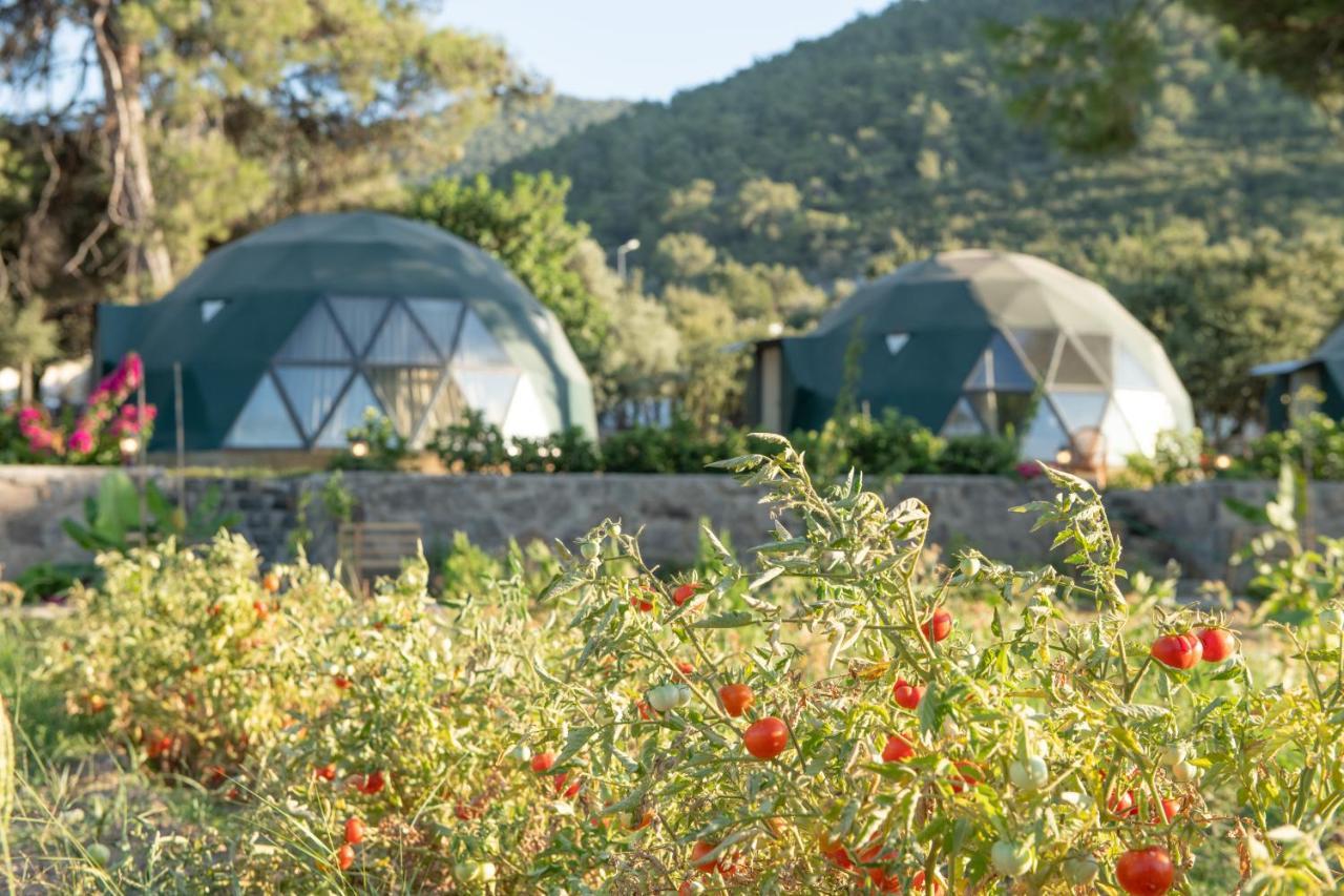 Lusso Glamping Bodrum Hotel Buitenkant foto